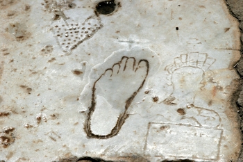 Brothel Footprint